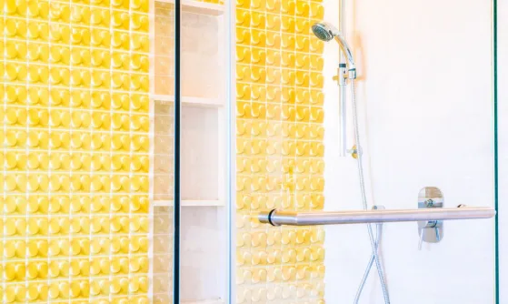 Walk-in shower with glass panel and textured tile wall